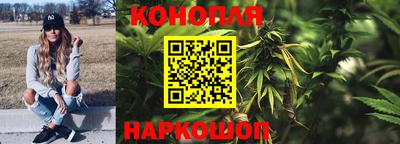 крисы Аргун