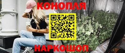 крисы Аргун