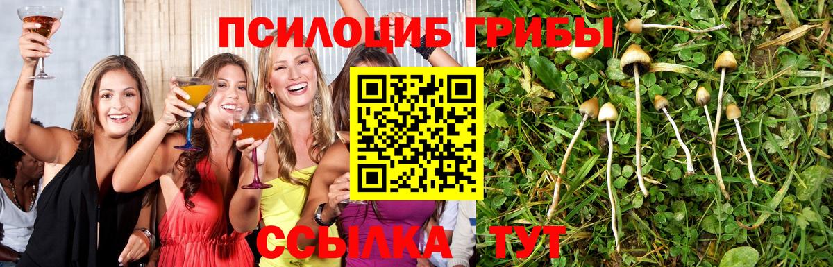 Галлюциногенные грибы Cubensis  Унеча 