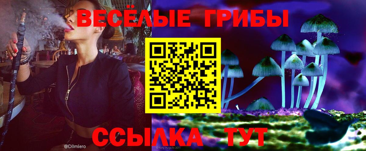 Галлюциногенные грибы GOLDEN TEACHER Унеча