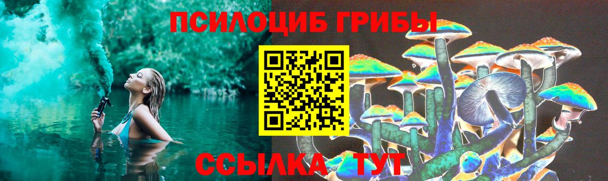 Галлюциногенные грибы Psilocybine cubensis  Вход с VPN  Унеча  Галлюциногенные грибы ЛСД 